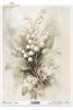 vintage, flora, bukiety, kwiaty, botanika, konwalia*vintage, flora, bouquets, flowers, botany, lily of the valley